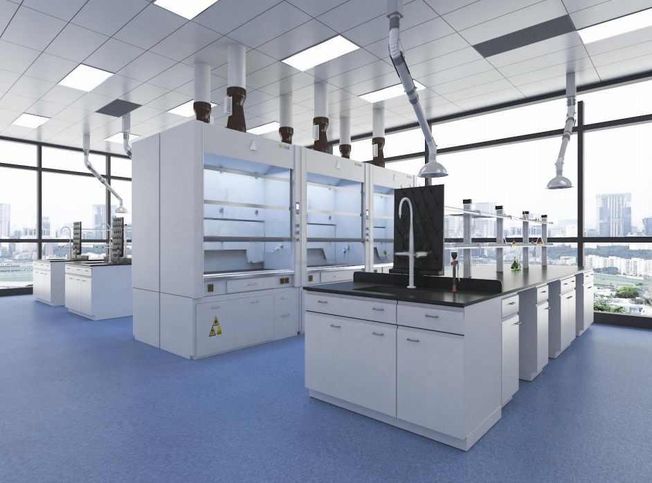 新恒精品項(xiàng)目-實(shí)驗(yàn)室工程建設(shè)